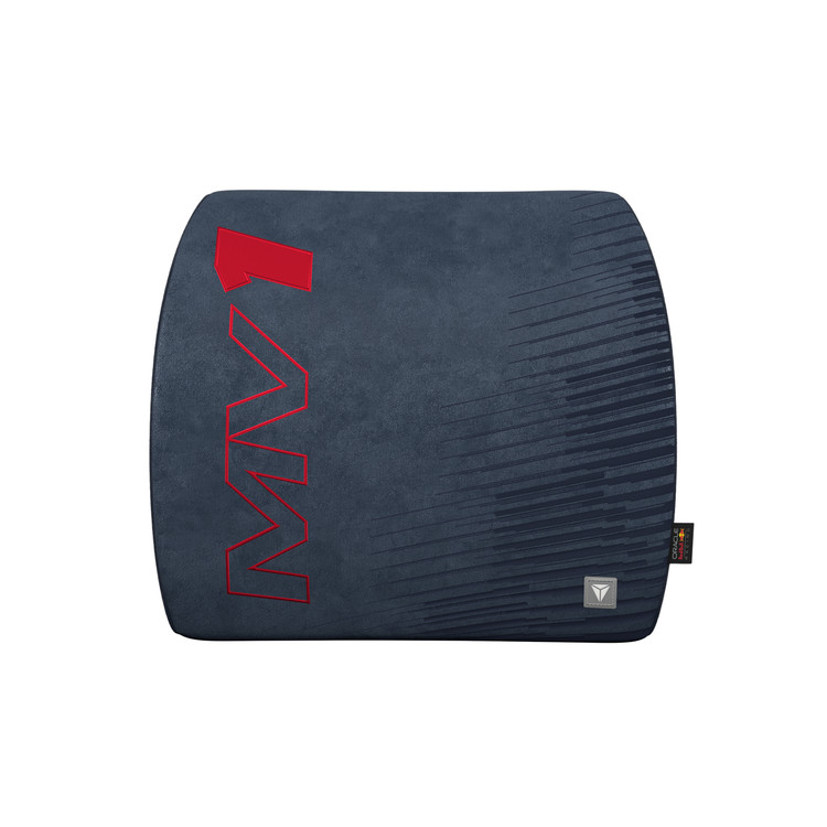 LUMBARPRO-RBMVV2_04.jpg